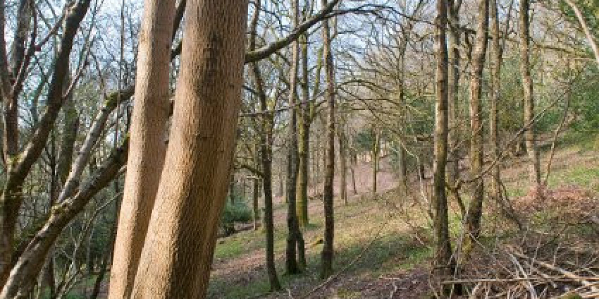 The Trusted Online Gambling Experience You Need