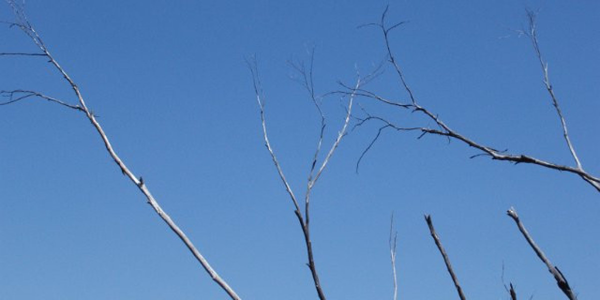 Workers win big as US giant grants Star casino's wish