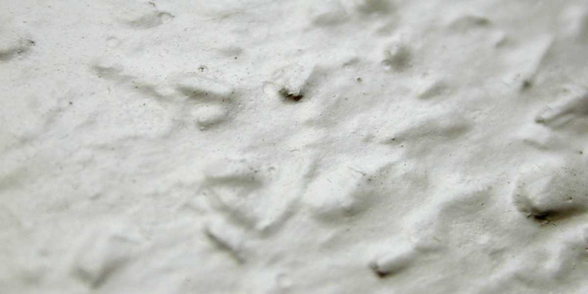 Meet the People Behind the Play