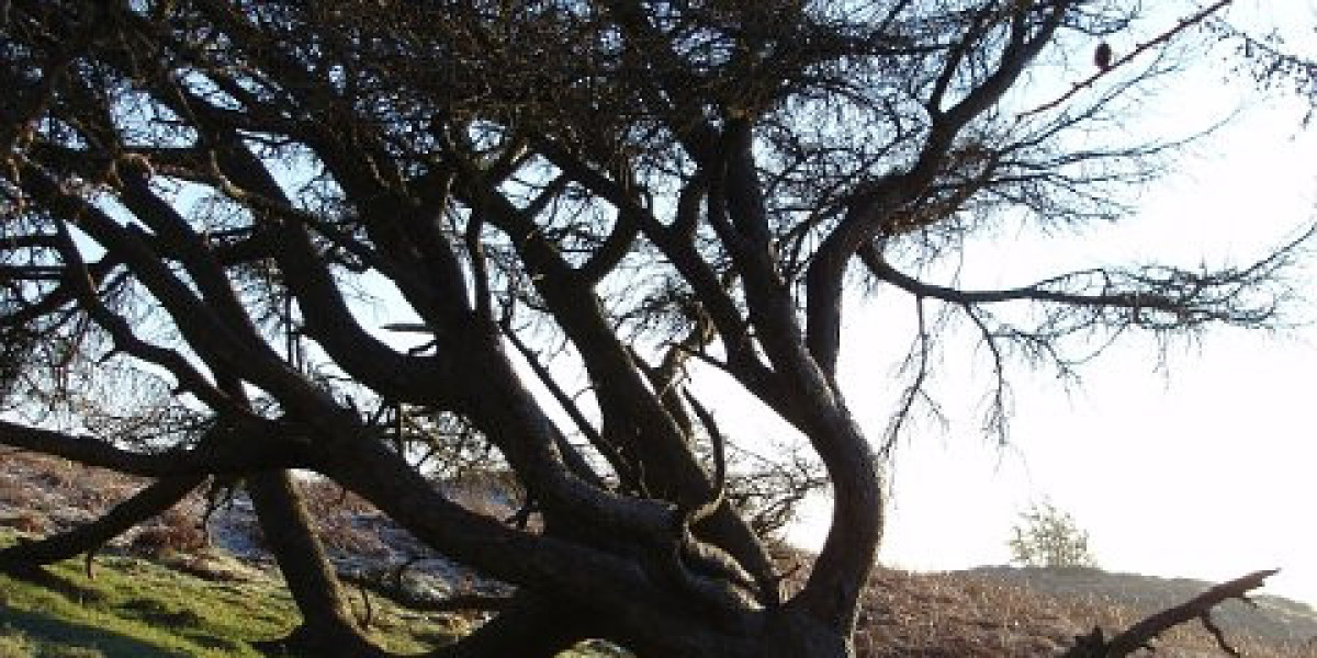 10 Best USA Real Money Casino Sites for Online Gambling 2025