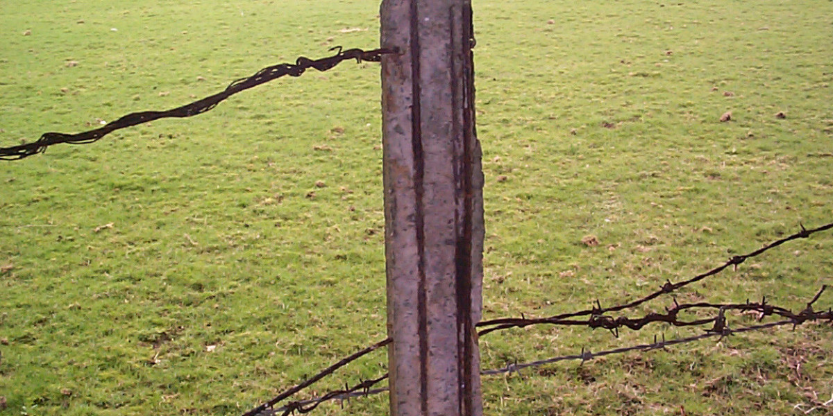 10 Best Live Casinos to Play for Real Money Online in 2025