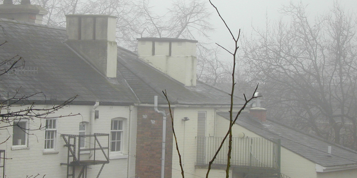 Top Online Casino Games Platform in The USA