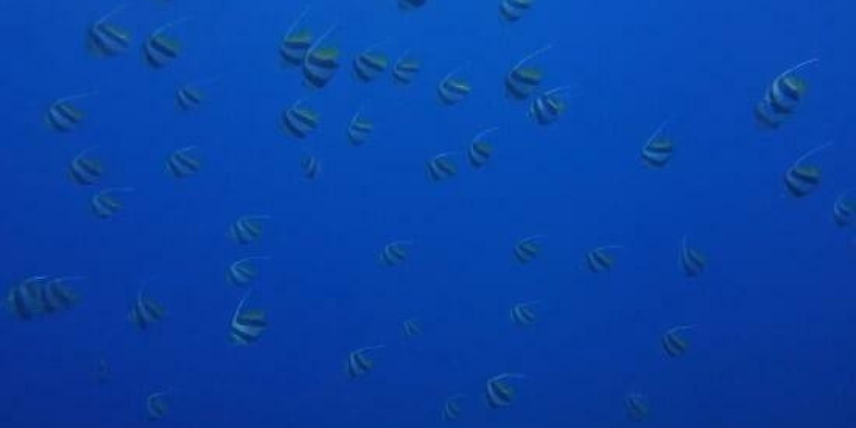 From ₦400 to Millions: One Accumulator That Transcended Belief